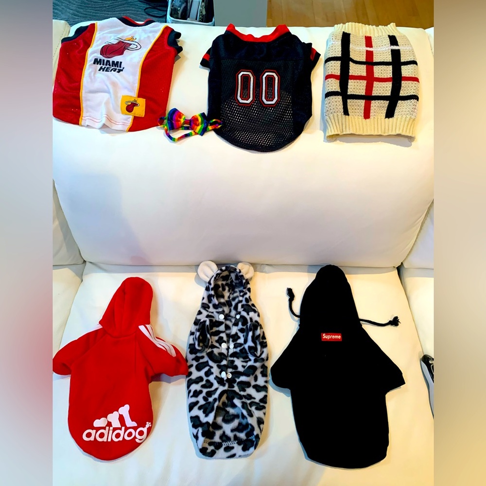LOT of 6 different style FITS for your POOCH - DOG